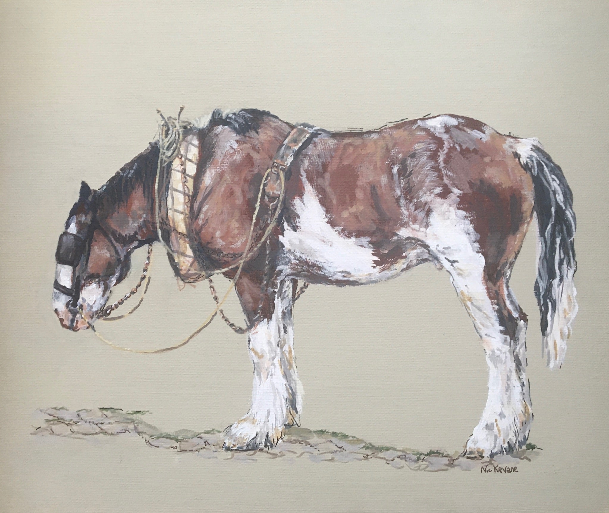 A painting of an Irish working heavy horse at rest in traditional harness. The background of this painting is a neutral light grey/green.
