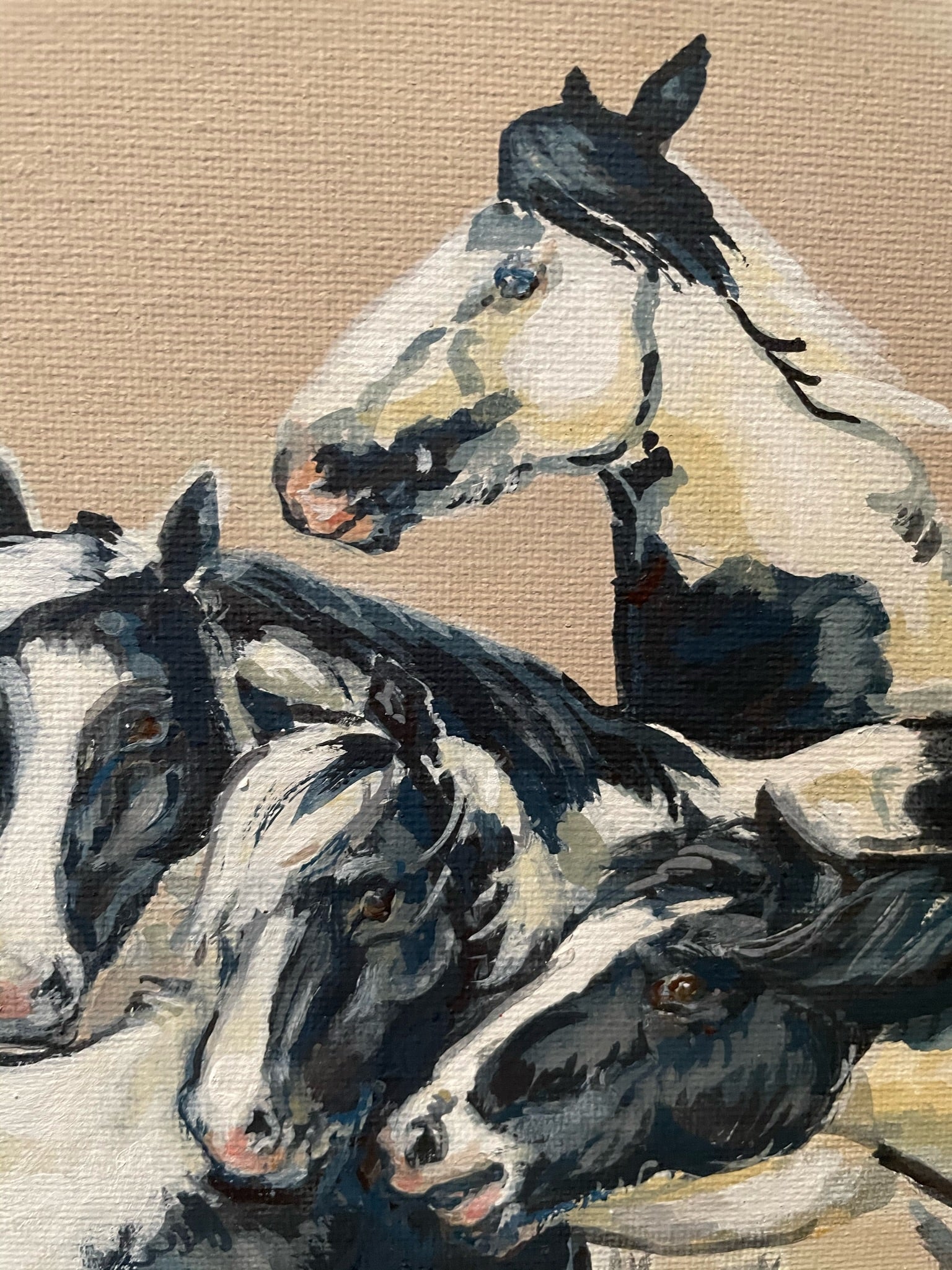 Piebald Ponies - A framed painting of black and white horses