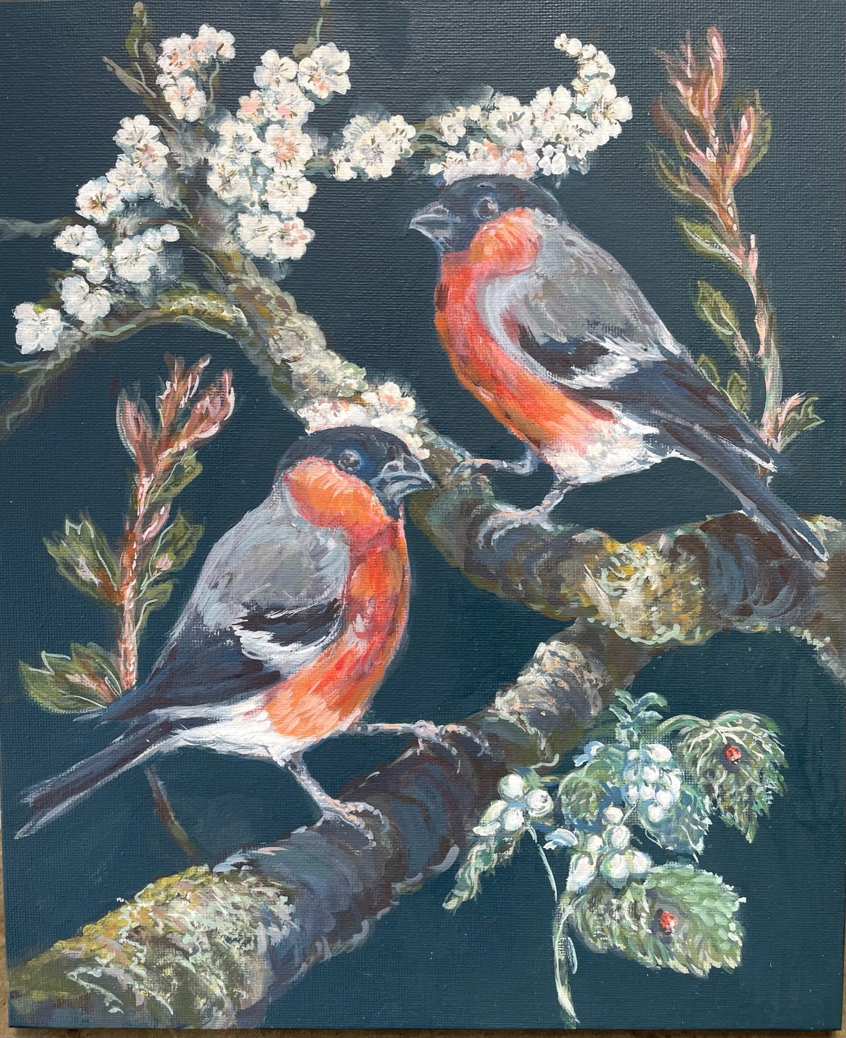 Bullfinches and Blossom  This painting depicts bullfinches amidst blackthorn blossom with other native Spring flora  …including ladybirds on the nettles.