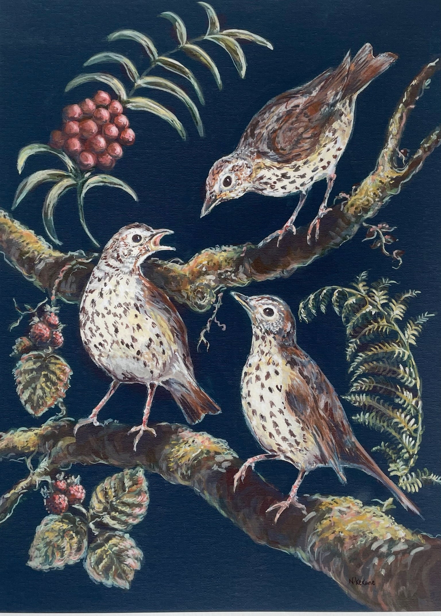 This fine art giclee print shows three song thrushes in a native hedgerow. The background colour is a very pleasant dark midnight blue.