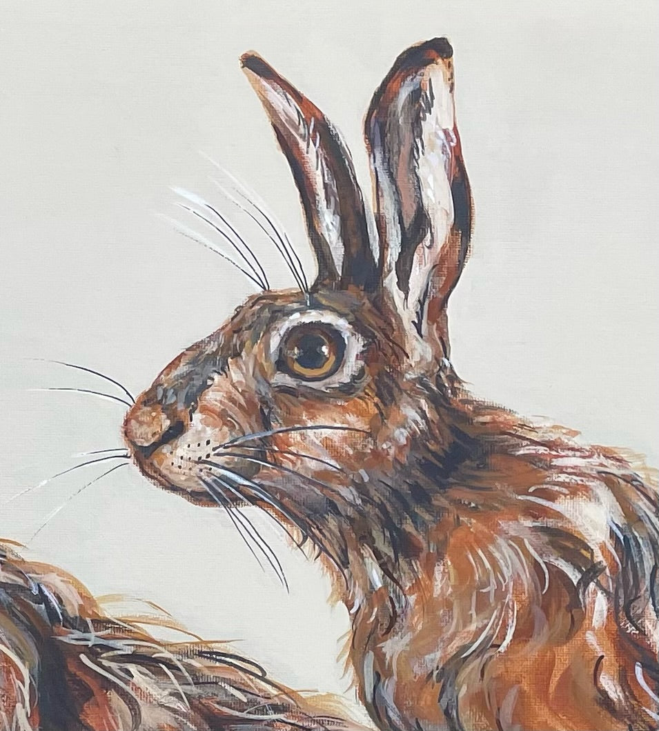Leery Hares is a painting of wary hares before they dash away.  Their coats are beautiful to paint, with many shades of grey and brown.  Leery is another word meaning wary. This is part of a study of hares, the other being my painting Chary Hares.