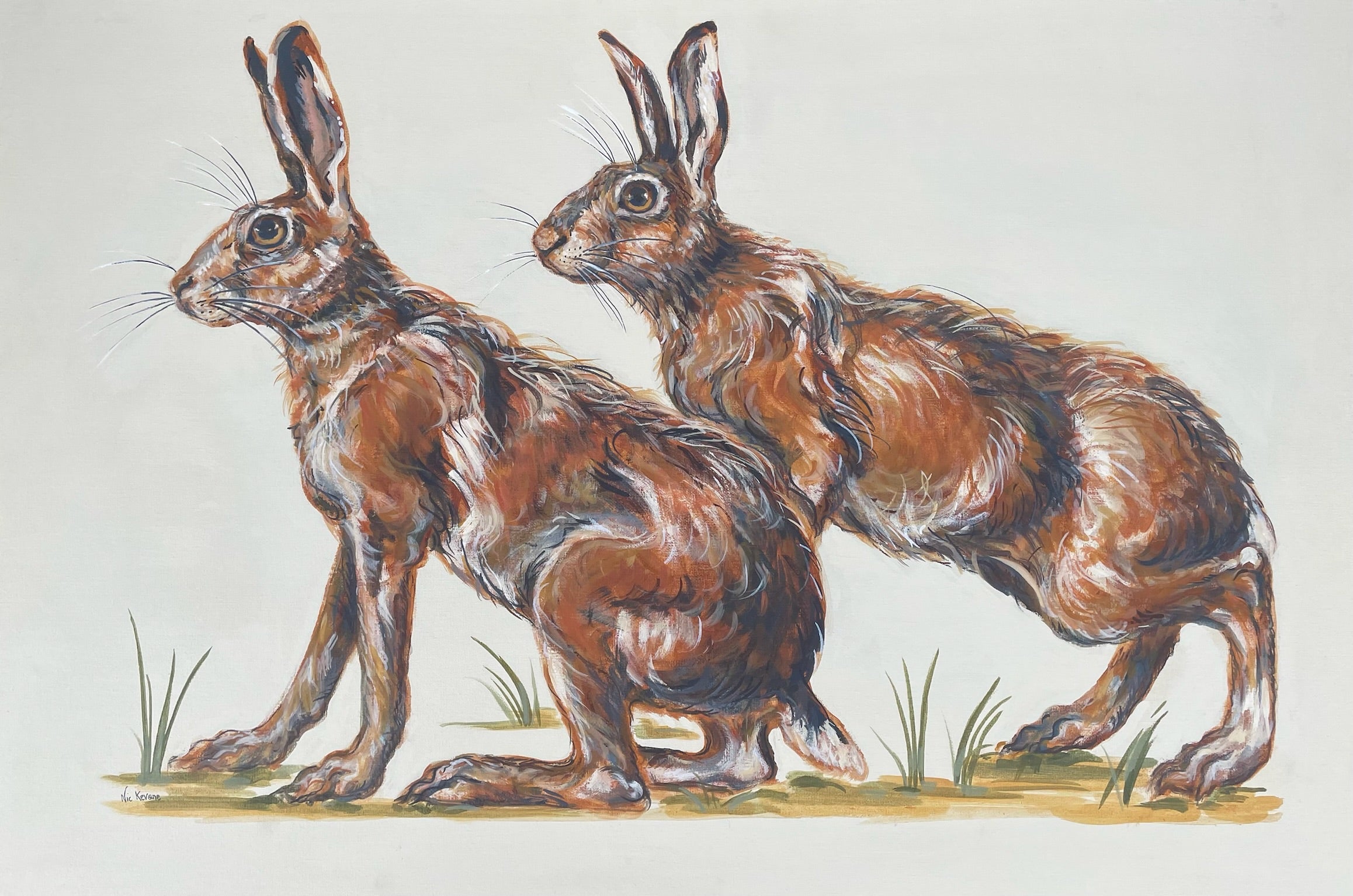 Leery Hares is a painting of wary hares before they dash away.  Their coats are beautiful to paint, with many shades of grey and brown.  Leery is another word meaning wary. This is part of a study of hares, the other being my painting Chary Hares.