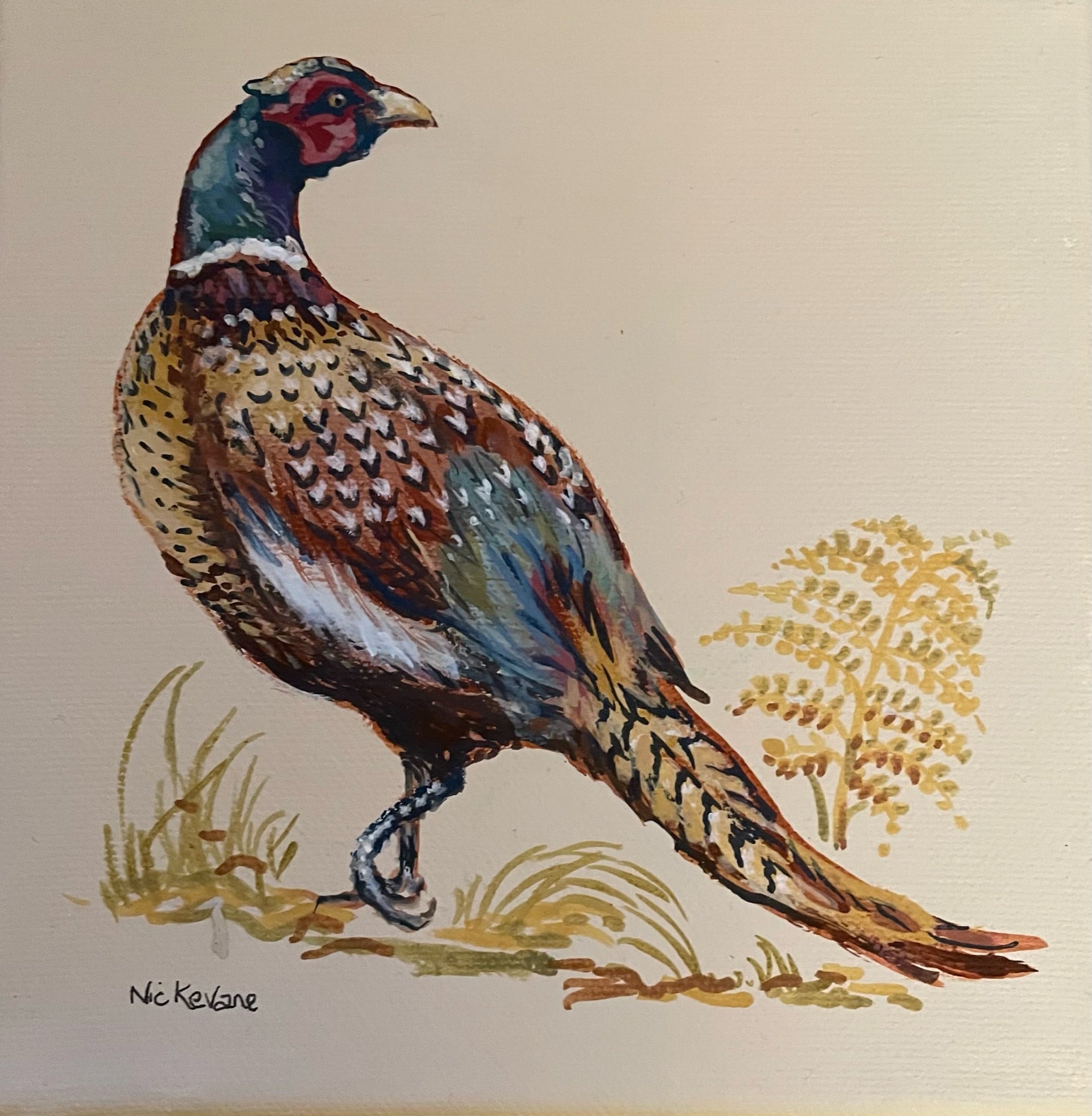 Pheasant I - 15cm x 15cm mini paintings depicting various countryside subjects.