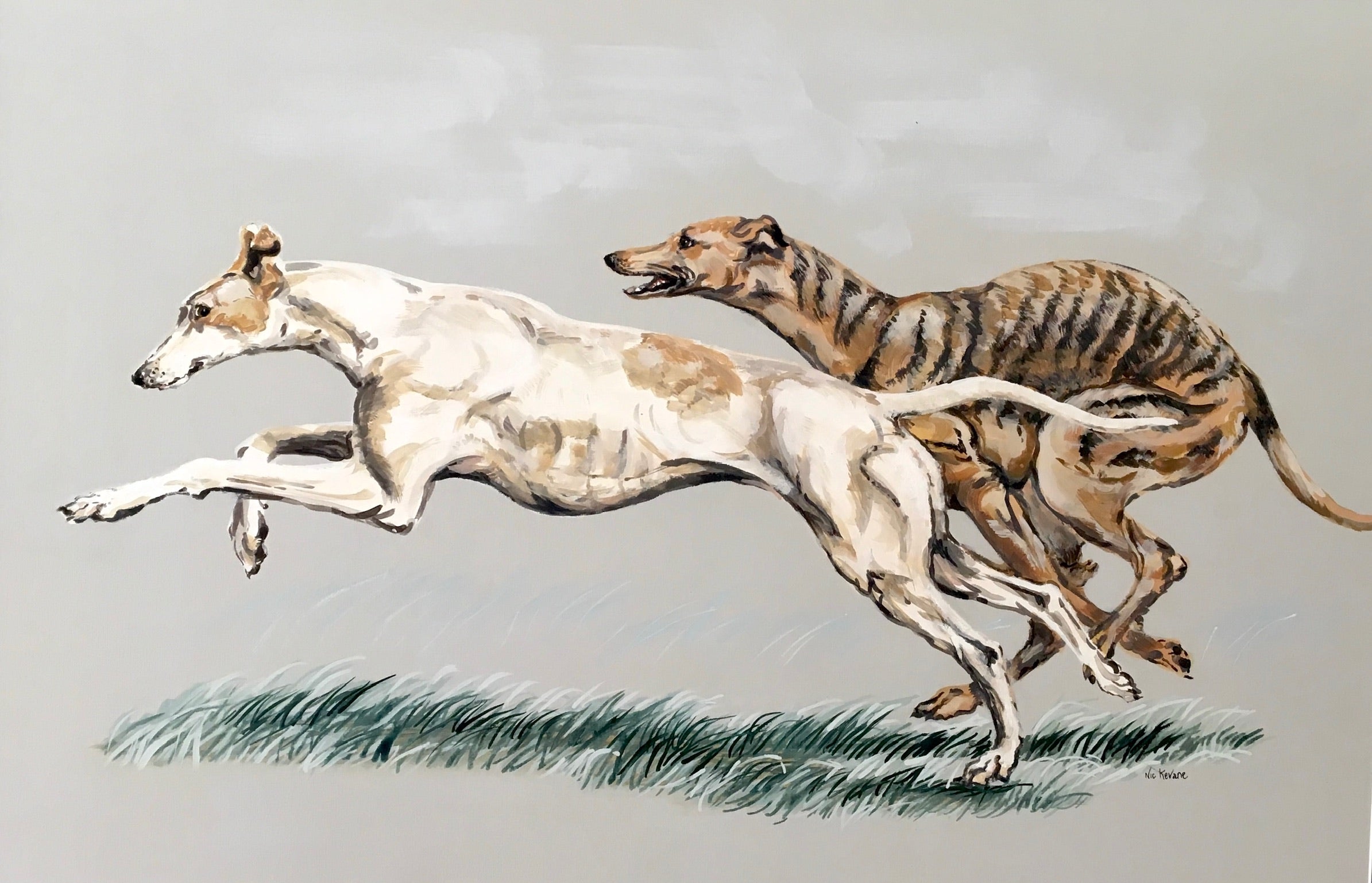  This painting shows two greyhounds racing with each other.  The greyhound is a wonderful piece of aerodynamic engineering, bred for purpose. They are a delight to paint as all their muscle and bone structure is ‘on show’.